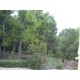 Properties for Sale_Farmhouse Antica Dimora in Le Marche_9